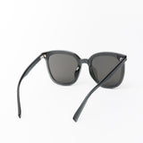 Hailey Large Rounded Sunglasses Transparent Grey/Smoke Lens