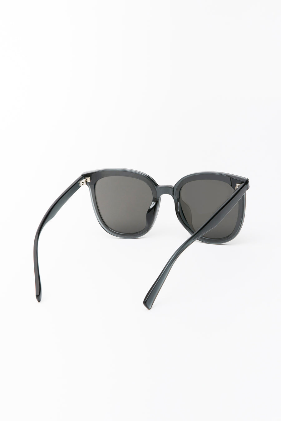 Hailey Large Rounded Sunglasses Transparent Grey/Smoke Lens