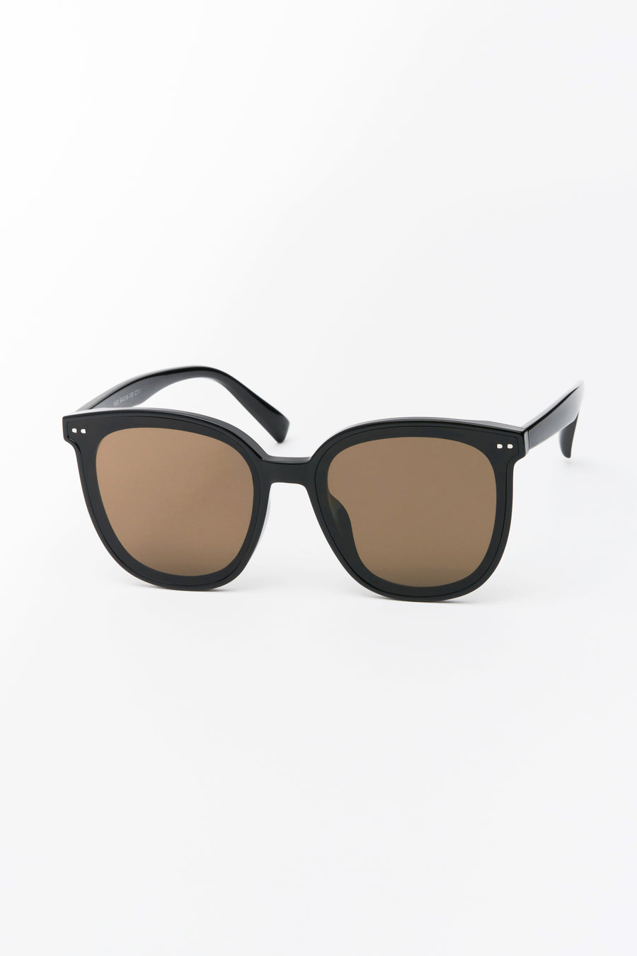 Hailey Large Rounded Sunglasses Black/Chai Lens